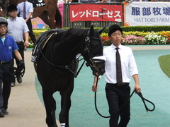 20161010 東京10R オクトーバーS(1600) ショウナンラグーン 06
