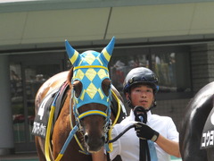 20150628 東京11R パラダイスS アルマディヴァン 03