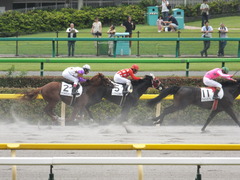 20140621 東京4R トマトリコピン 11