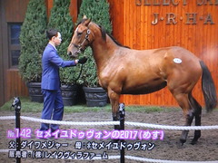 セメイユドゥヴォン2017
