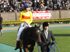 20150221 東京11R ダイヤモンドS(G3) ラブイズブーシェ 10