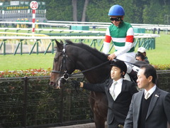 20161027 東京3R 2歳未勝利 パリンジェネシス 13