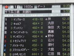 20170625 東京1R 3歳牝馬未勝利 プンメリン 02