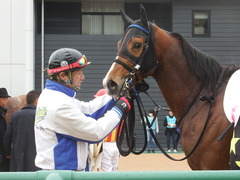 20190112 中山5R 3歳未勝利 ストレートパンチ 23