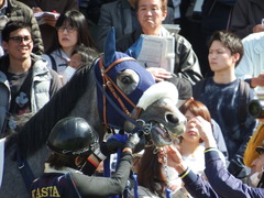 20180304 中山5R 3歳牝馬未勝利 プラチナベール 10