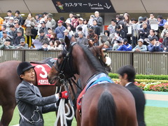 201301109 東京 ライアンセンス 08