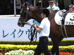 20170604 東京7R 3歳上500万下 プエルト 02