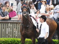20170507 東京8R 4歳上(1000) オウケンブラック 05