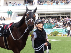 20150418 中山10R 下総S ショウナンアポロン 06