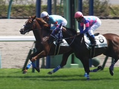 20150912 中山5R 2歳メイクデビュー ヤマニンリュウセイ 13