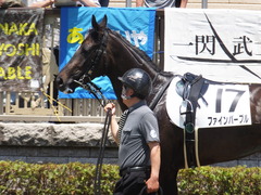 20170520 東京4R 3歳未勝利 ファインパープル 05