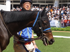 20170918 中山6R 3歳未勝利 キスミーダーリン 14