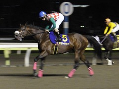 20151104 大井11R マイルグランプリ(S2) グランディオーソ 09