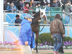 20151226 中山2R 2歳未勝利 カズノメガミ 07