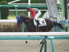20180318 中山1R 3歳牝馬未勝利 ラプターゲイル 14