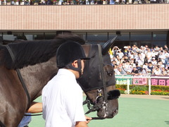 20160903 札幌11R 札幌2歳S(G3) トリオンフ 10