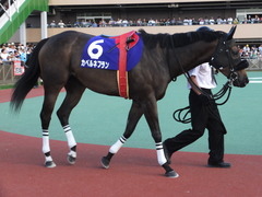 20150720 船橋11R 習志野きらっとS(S3) カベルネフラン 08