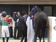 20180407 中山3R 3歳未勝利 ラプターゲイル 16