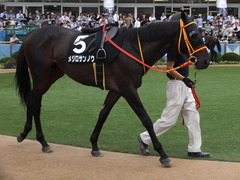 20150926 中山8R 清秋JS メジロサンノウ 06
