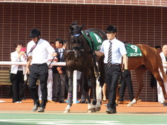 20160903 札幌11R 札幌2歳S(G3) トリオンフ 02