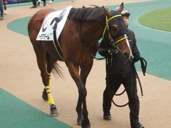 20190427 東京12R (1000) ノーモアゲーム 04