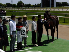 20170604 東京4R 3歳未勝利 ホウオウドリーム 35