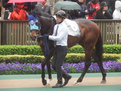 20190427 東京9R 秩父特別(1000) アドマイヤシナイ 07