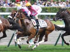 20150905 札幌8R 3歳上500万下 ツクバアスナロ 15