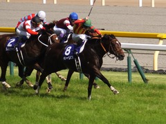 20160605 東京11R 安田記念(G1) モーリス 23