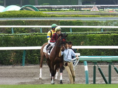 20130907ライアンセンス12