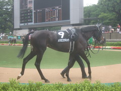 20110611メジロコウミョウ1