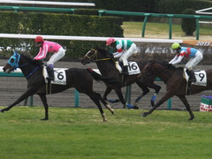 20150308 中山5R 3歳未勝利 ラッシュアタック 16