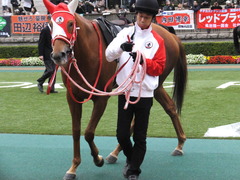 20151123 東京10R 鷹巣山特別 レーヌドブリエ 15