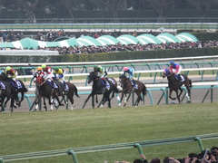 20141228 中山10R 有馬記念 サトノノブレス 09