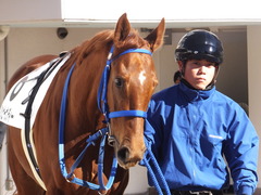 20161211 中山6R 2歳メイクデビュー ハッピーサンディー 03