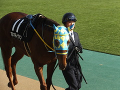 20150221 東京10R 初音S4歳上1600万下 アルマディヴァン 04