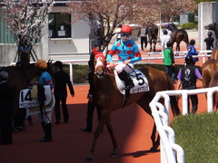 20150404 阪神4R 3歳未勝利 レーヌドブリエ 18