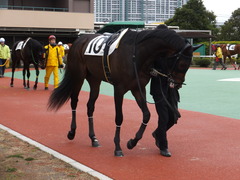 20170315 船橋1R 3歳 エッジ 05