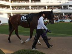 20131207 中山競馬場 ユーロビート 04