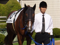 20151024 京都1R 2歳未勝利 サクレメジャー 04