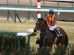 20150125 中山10R 若潮賞 モーリス 18