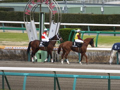 20150321 中山10R 韓国馬事会杯 ランドマーキュリー 06