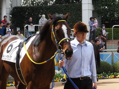 20150328 中山4R 3歳未勝利 ラッシュアタック 09