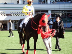 20180107 中山3R 3歳未勝利 ノーザンクリス 15