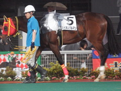 20180523 大井12R 薫風賞 B2 マイネルグルマン 11
