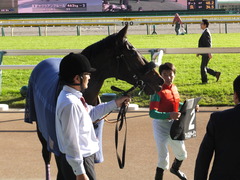 20161105 東京9R 南武特別(1000) マイネルサージュ 26
