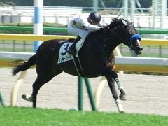 20180421 東京6R 3歳未勝利 ミッキーバード 18