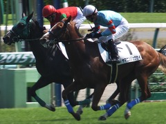 20150912 中山5R 2歳メイクデビュー ヤマニンリュウセイ 14