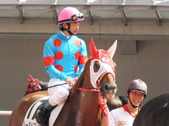 20161002 阪神7R (500) レーヌドブリエ 16