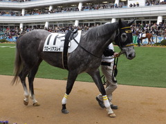 20150315 中山5R 3歳未勝利 グローリアスレイ 06